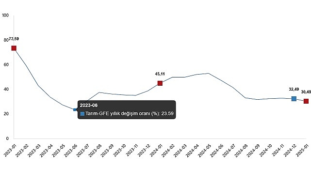 Tarımsal Girdi Fiyat Endeksi, Ocak 2025