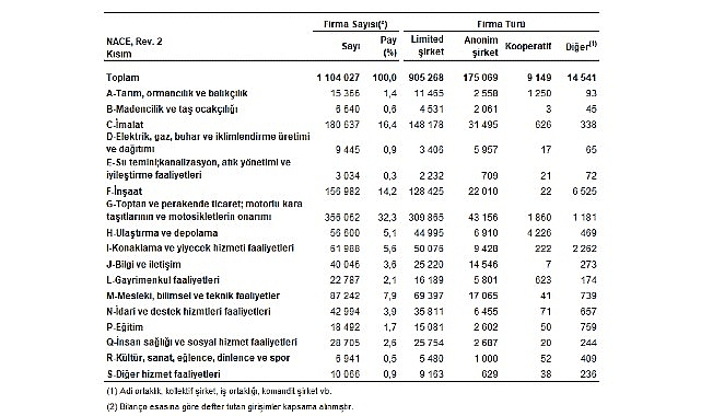 Sektör Bilançoları, 2024