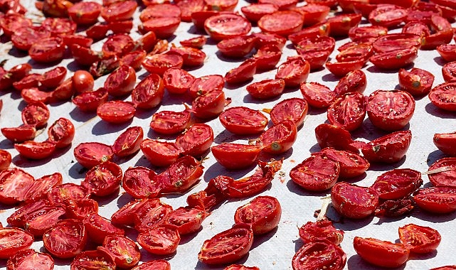 Kuru domates ihracatı 100 milyon doları aştı